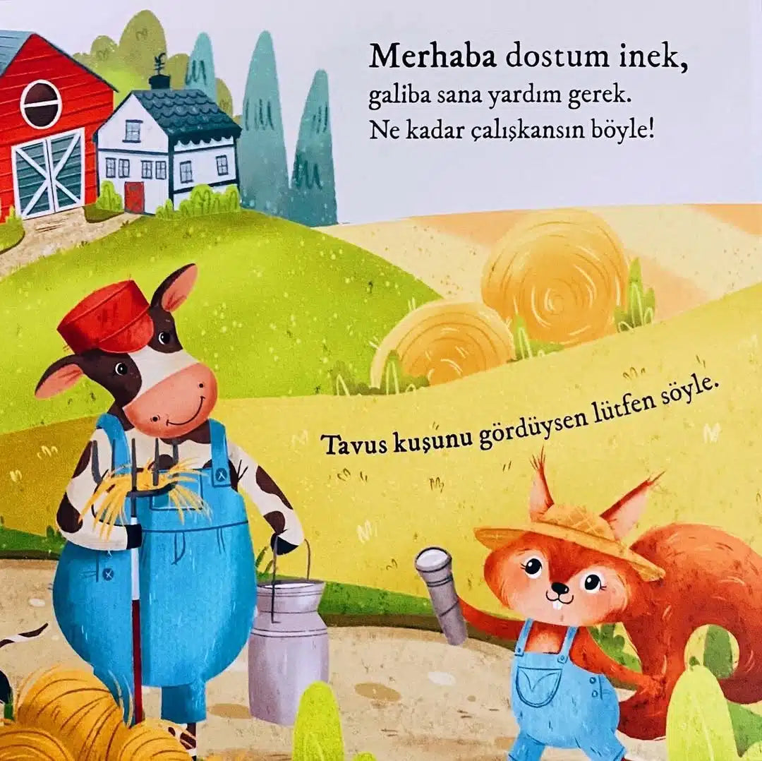 Bulurum Seni Çiftlikte Fenerli Kitap