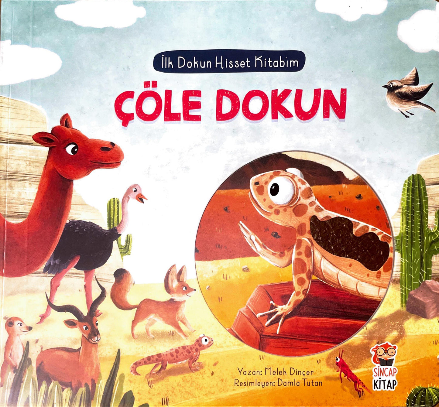 ÇÖLE DOKUN