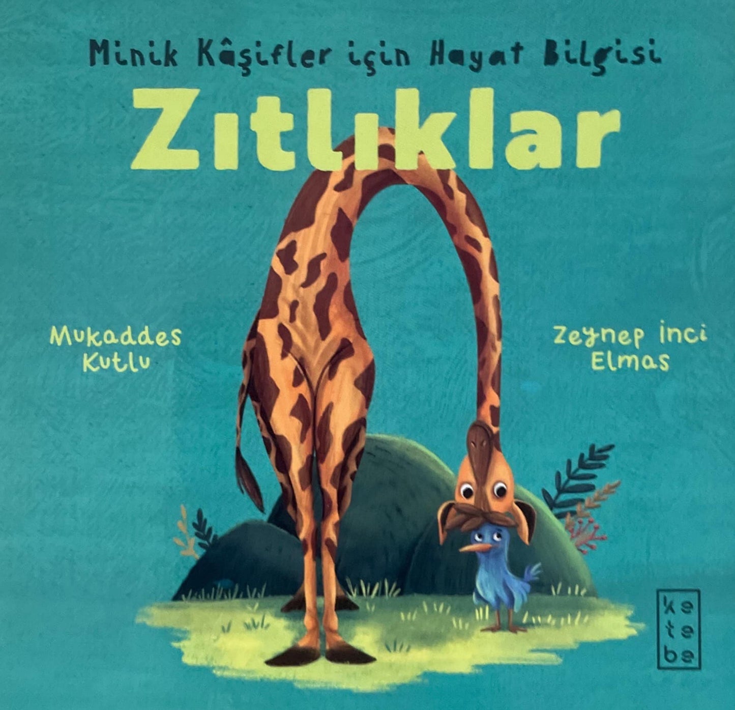 Zıtlıklar