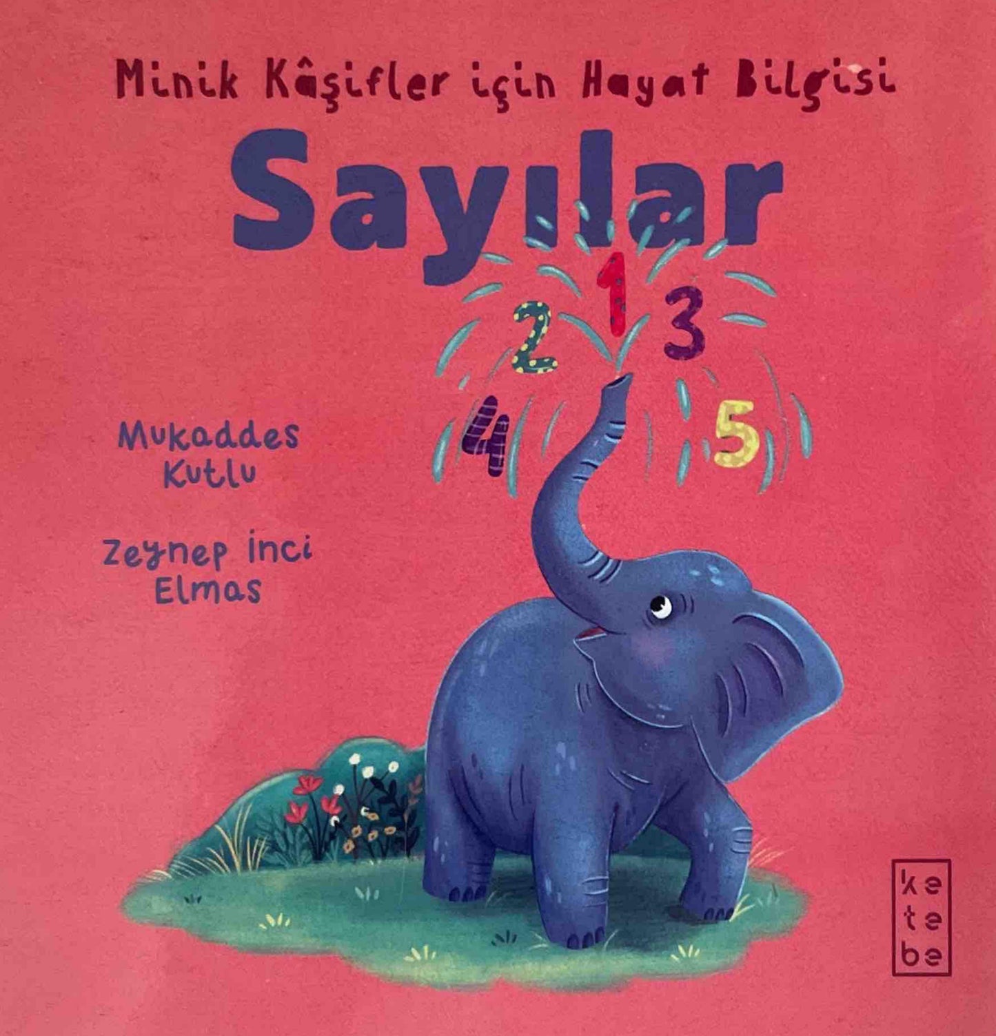 Sayılar